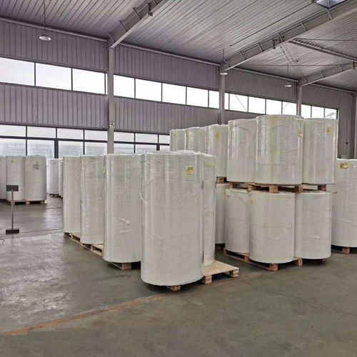 PET骨架無紡布濾芯復(fù)合材料 廠家直供，卓越性能與折價(jià)優(yōu)勢(shì)解析